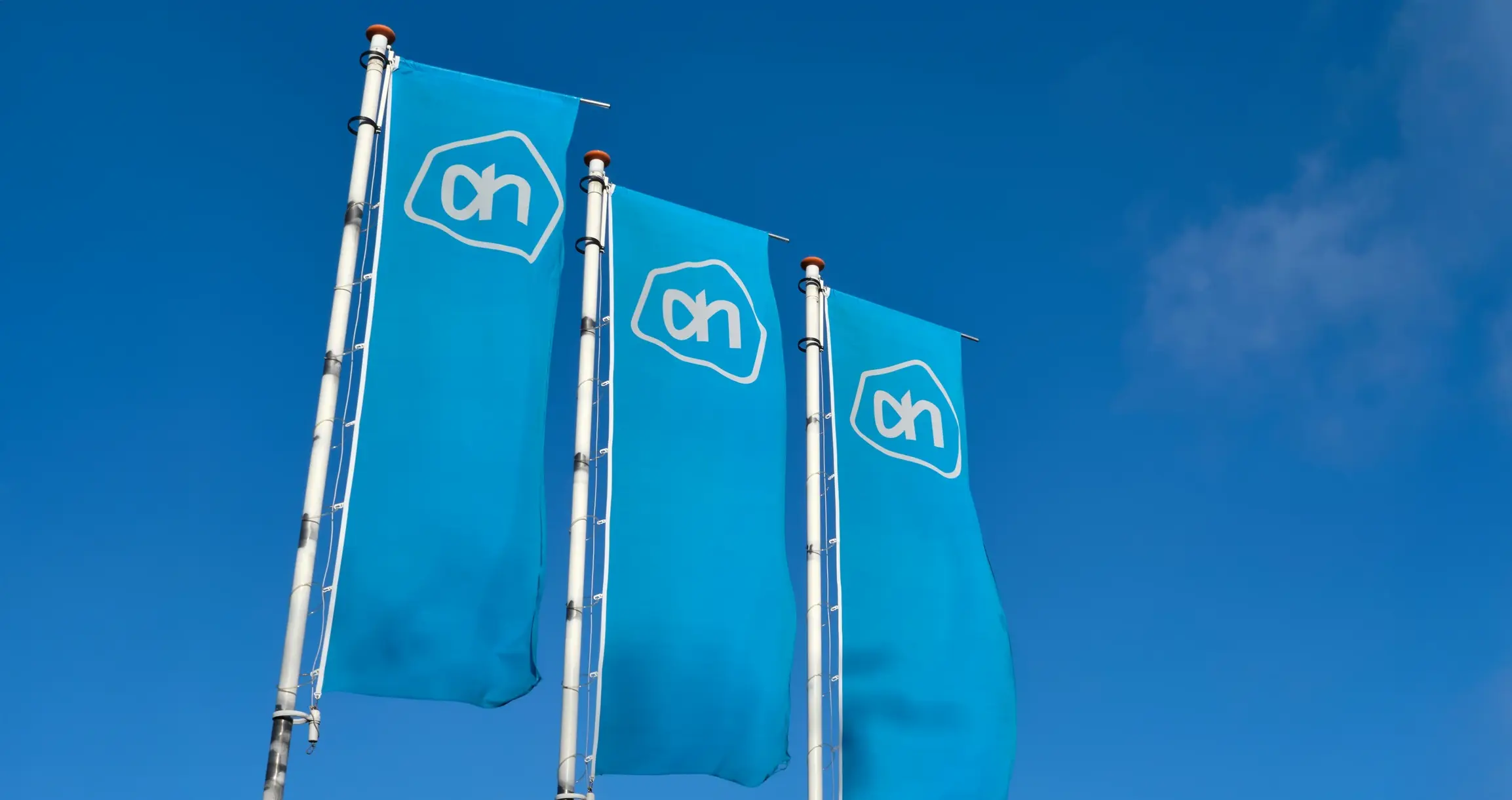 Promotional Banner Flags